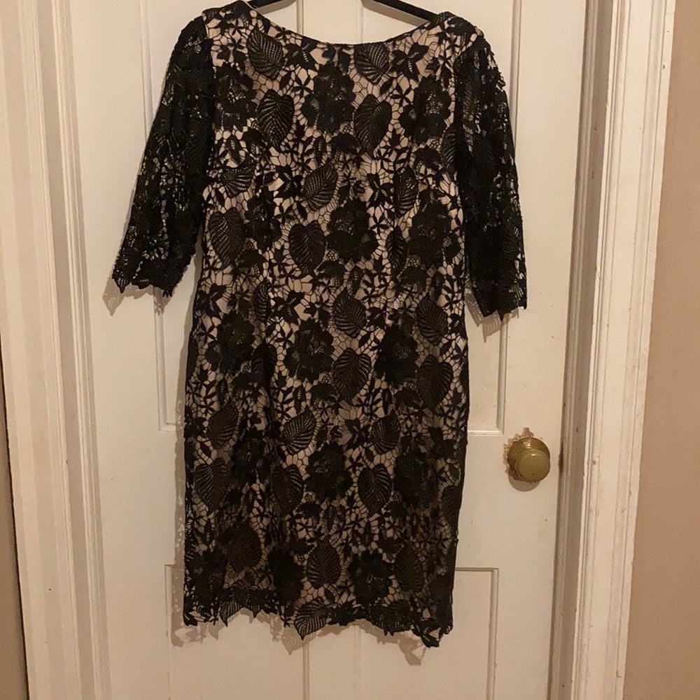 Eliza J. 3/4 length sleeve lace sheath dress